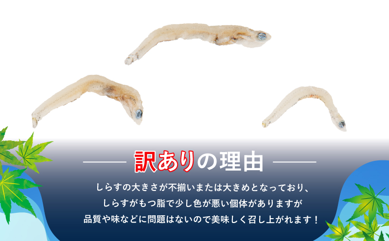 險ウ縺ゅj 縺。繧翫a繧 險 1kg 200g テ 5陲 蜥檎伐蟲カ逕」 縺励i縺 逕」蝨ー逶エ騾 蟆丞縺 繝代ャ繧ッ 蜀キ阡オ 蠕ウ蟲カ逵 縺倥c縺 蟷イ縺 荵セ迚ゥ 縺秘」ッ縺ョ縺贋セ
