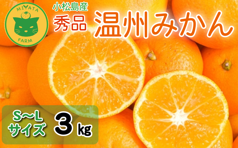 【2026年12月発送】 みかん 秀品 温州みかん 3kg 早生みかん ミカン 蜜柑 甘い フルーツ 柑橘 ジュース 小松島市 3kg オススメ 人気 ふるさと納税