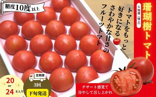 å
è¡äºçŽ å®æäŸ¿ 3å ããã 1kg ççæš¹ Sãµã€ãº ç³åºŠ 10 çã ããã ãã«ãŒãããã éè ããã åœç£ ç£å°çŽé æ¬ æ°é®® ãœãŒã¹ èª¿å³æ ã±ãã£ãã ãµã©ã çŸå®¹ å¥åº· ãåãå¯ã ã°ã«ã¡ èŽç ã®ãã ãã¬ãŒã³ã äººæ° ãããã ãµãããšçŽçš å·èµ éæç¡æ 埳島ç å°æŸå³¶åž æéäŒç€Ÿæš«å±±èŸ²å çºéïŒ2026幎3æäžæ¬ïœ