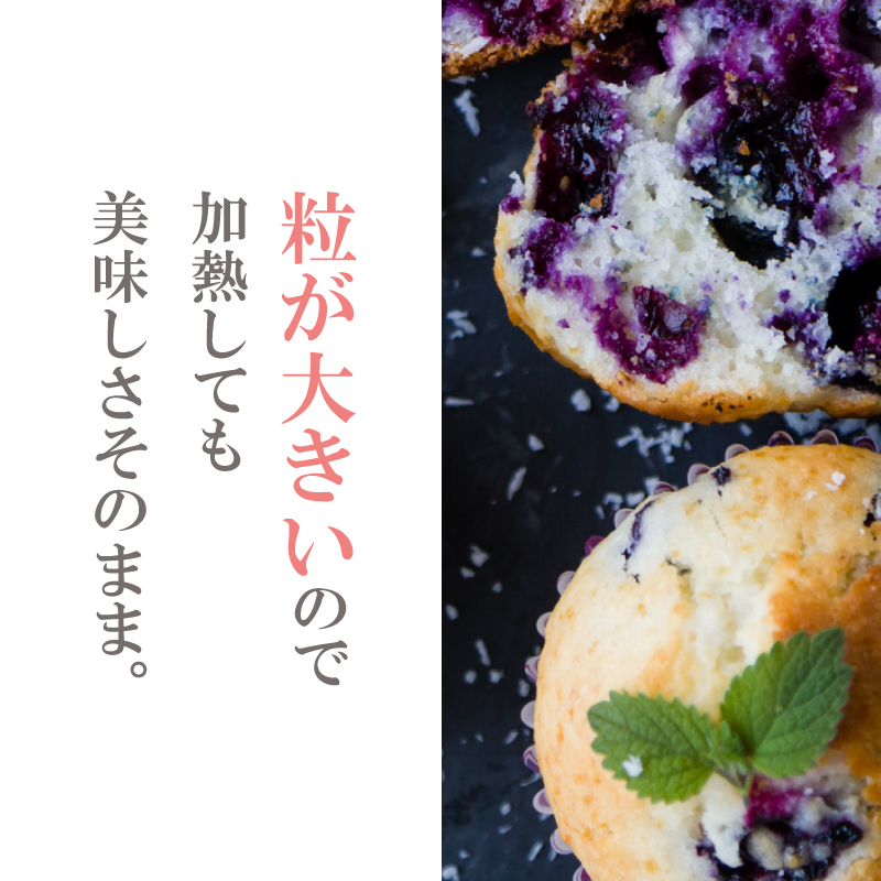 ブルーベリー 冷凍【訳あり】 1kg 産地直送 フルーツ ブルーベリー 新鮮 人気 果物 おすすめ フルーツ 四国 徳島 小松島 【送料無料】| 産地 直送 新鮮 夏 アイス シャーベット ソフトクリーム ジュース スムージー ヨーグルト 朝食 旬 ふるさと納税ブルーベリー ふるさとブルーベリー