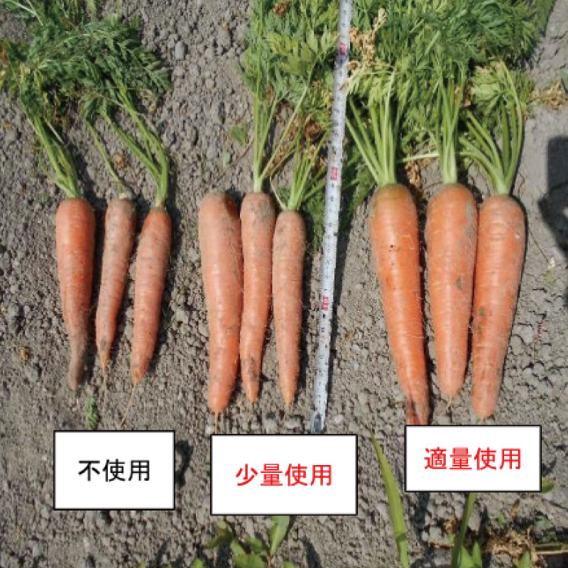 蝣閧・ 30L (15kg) 閧・譁 縺溘>閧・ 縺ソ縺ソ縺 繝溘Α繧コ 縺ソ縺ソ縺壼、ェ驛 100 譛画ゥ 髮題拷 邉 辟。閾ュ 隕ウ闡画、咲黄 繧ャ繝シ繝繝九Φ繧ー 縺願干 闃ア 驥手除 螳カ蠎ュ闖懷恍 逡 蝨 逕ー繧薙⊂ 蠕ョ逕溽黄雉譚 蠕ウ蟲カ逵 蟆乗收蟲カ蟶