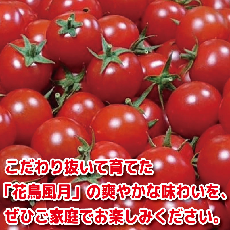 【2026年4月発送】 ミニトマト 2kg 花鳥風月 先行予約 水耕栽培 爽やか 甘い 野菜 やさい 国産 産地直送 数量限定 旬 フレッシュトマト 生野菜 新鮮 ソース 調味料 ケチャップ サラダ 美容 新鮮 健康 お取り寄せ グルメ おすすめ 人気 1万円以下 10000円以下 徳島県 小松島市