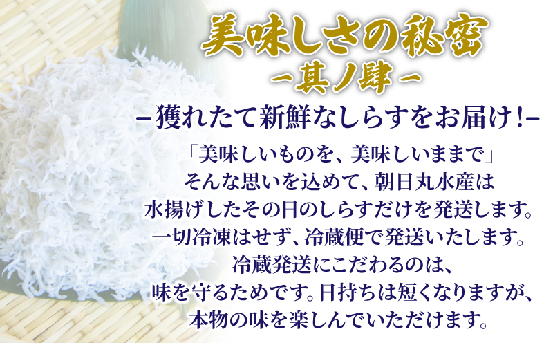 釜揚げ しらす 1kg 国産 徳島県産 和田島産 とれたて 新鮮 産地直送 冷蔵 発送 小分け 250g 4袋 セット 和田島しらす ちりめん 魚介類 魚 小魚