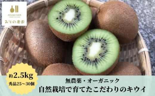 キウイ 2.5kg 数量限定 みその農園 自然栽培 無農薬 国産 徳島県 ※離島への配送不可 ※2024年12月頃より順次発送予定