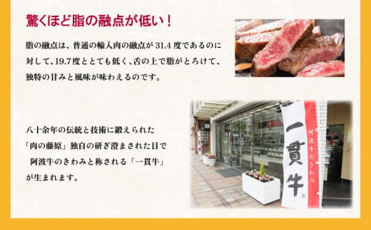 切り落とし 500g 国産 黒毛和牛 とくしま三ツ星ビーフ 徳島県産 ブランド 和牛 牛肉 ふるさと納税 焼肉 炒め物 煮込み 焼き すき焼き 煮物 カレー 料理 使いやすい 時短  お祝い ギフト 贈り物 プレゼント 【北海道・東北・沖縄・離島への配送不可】