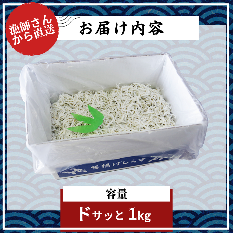 しらす 冷蔵  1kg｜ 瀬戸内海 四国 徳島 小松島  ｜朝どれ 水揚げ 釜揚げ ｜ 太平洋 瀬戸内海 結ぶ 紀伊水道 鳴門 海域 ｜ しらす丼 魚介 シーフード 特産品 海産物 新鮮 惣菜  国産 鮮度 ふるさと納税 採れたて 安全 安心 カルシウム 小分け | 新米 白米 玄米 卵ご飯 【北海道･沖縄･東北･離島への配送不可】 【先行予約】 【2025年6月より順次発送】