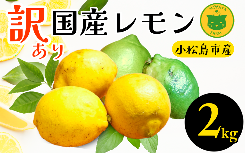 【2026年12月発送】レモン 2kg 訳あり  国産 レモン 檸檬 れもん ワックス不使用 防腐剤不使用 柑橘 果汁 フルーツ 果実 徳島 小松島市