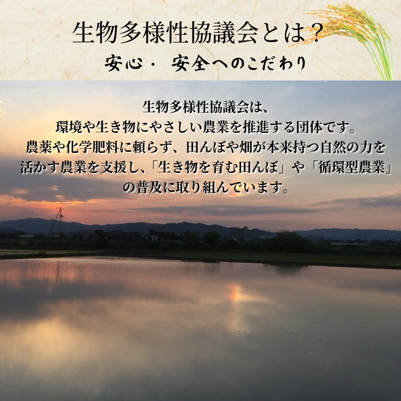 【令和7年産新米】米 コシヒカリ 10kg(5kg×2） 天皇献上米 (栽培期間中）化学肥料・農薬不使用米 白米 精米 こめ  ご飯 備蓄米 ごはん 新米  環境 に優しい 小松島市 上王子特質米 10kg