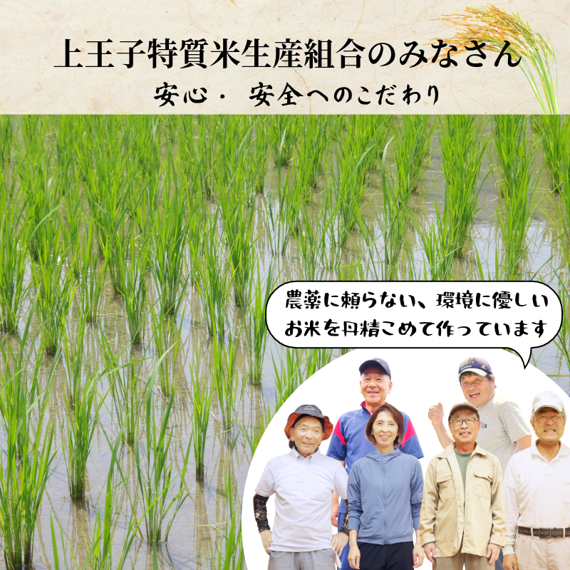 【令和7年産新米】米 コシヒカリ 10kg(5kg×2） 天皇献上米 (栽培期間中）化学肥料・農薬不使用米 白米 精米 こめ  ご飯 備蓄米 ごはん 新米  環境 に優しい 小松島市 上王子特質米 10kg
