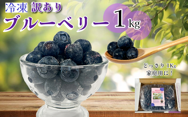 ブルーベリー 冷凍【訳あり】 1kg 産地直送 フルーツ ブルーベリー 新鮮 人気 果物 おすすめ フルーツ 四国 徳島 小松島 【送料無料】| 産地 直送 新鮮 夏 アイス シャーベット ソフトクリーム ジュース スムージー ヨーグルト 朝食 旬 ふるさと納税ブルーベリー ふるさとブルーベリー