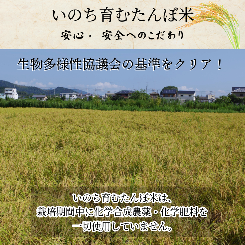 【令和7年産新米】米 コシヒカリ 10kg(5kg×2） 天皇献上米 (栽培期間中）化学肥料・農薬不使用米 白米 精米 こめ  ご飯 備蓄米 ごはん 新米  環境 に優しい 小松島市 上王子特質米 10kg