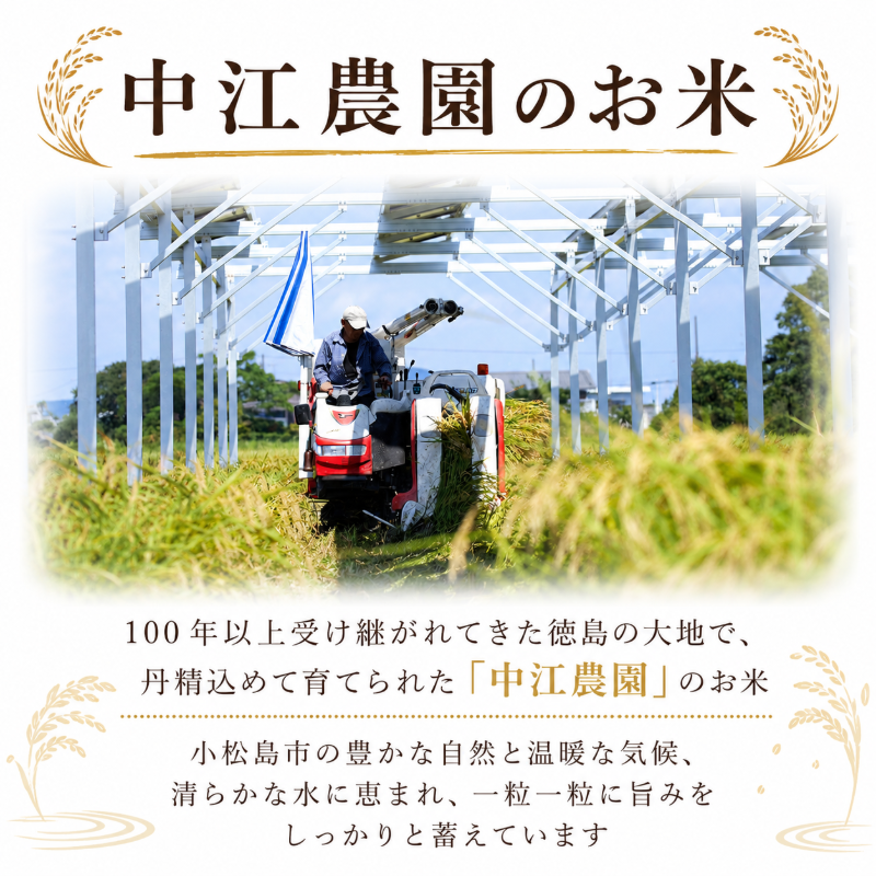 令和7年産 コシヒカリ 10kg 白米 米 数量 限定 こしひかり 10キロ 米10kg ごはん こめ コメ はくまい okome kome おむすび おにぎり 国産 飯 おこめ 小松島市