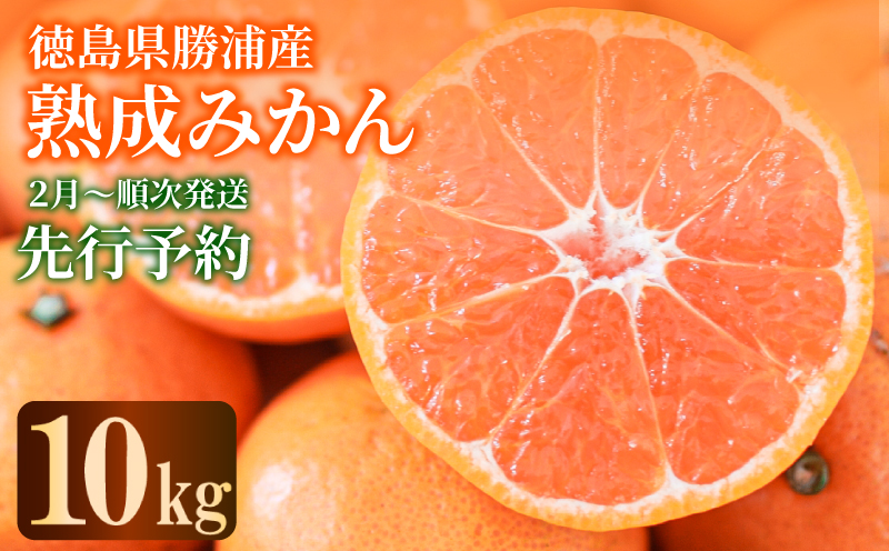 熟成 みかん 10kg 秀品 M~L 【先行予約】2025年2月発送  国産 徳島県 勝浦産 貯蔵 果物 フルーツ 柑橘 みかん 蜜柑 温州 人気 産地直送 数量限定 【北海道・東北・沖縄・離島配送不可】