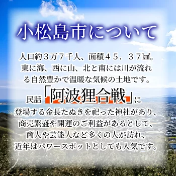 徳島県小松島市 【 返礼品なしの寄附】1000円 ～ 3,000,000円 応援寄附金 応援 支援 災害 子育て 1口 1000円から ふるさと納税 観光徳島 小松島 寄付 南海トラフ 巨大 地震 津波 避難 タワー  子育て世代 応援 プロジェクト 子供 応援寄付