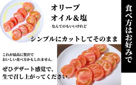 先行予約 定期便 3回 トマト 1kg 珊瑚樹 Sサイズ 糖度 10 甘い トマト フルーツトマト 野菜 やさい 国産 産地直送 旬 新鮮 ソース 調味料 ケチャップ サラダ 美容 健康 お取り寄せ グルメ 贈答 ギフト プレゼント 人気 おすすめ ふるさと納税 冷蔵 送料無料 徳島県 小松島市 有限会社樫山農園 発送：2027年3月上旬～