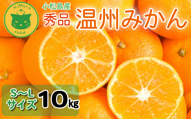 【2026年11月順次発送】 みかん 秀品 温州みかん 10kg 早生みかん ミカン 蜜柑 甘い フルーツ 柑橘 ジュース 小松島市 オススメ 人気 ふるさと納税