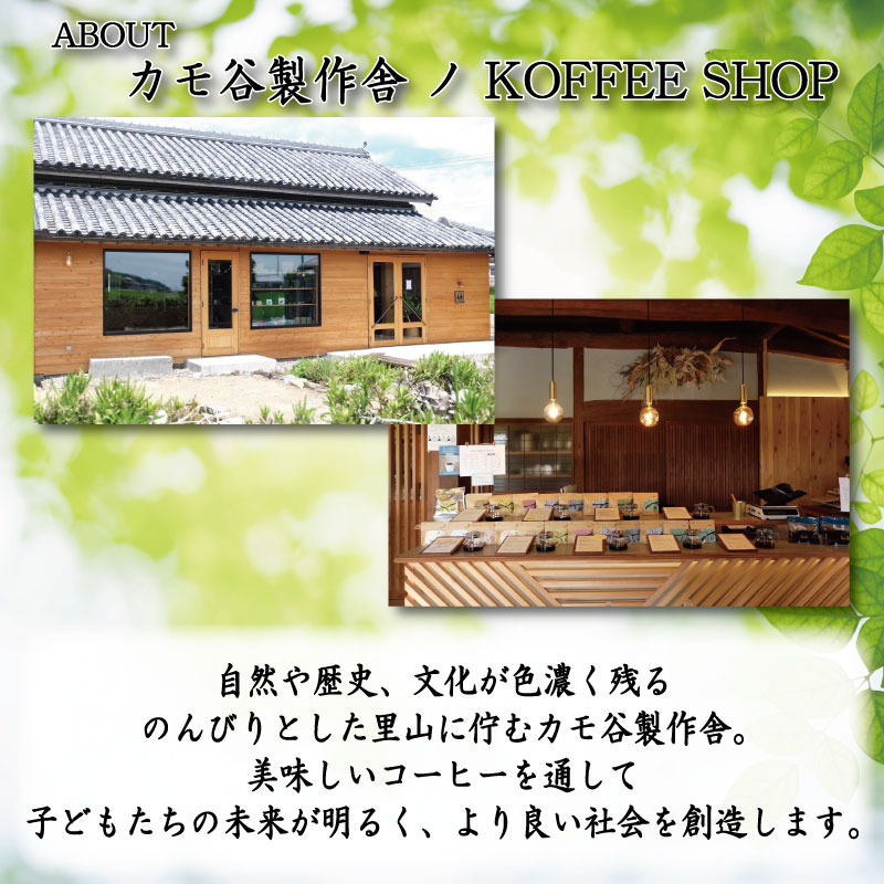 季節のコーヒー 豆 定期便12回 220g コーヒー豆 珈琲 コーヒー COFFEE 自家焙煎 焙煎 コーヒー豆 中煎り 深煎り 浅煎り ドリンク 飲み物 喫茶 カフェ プレゼント ギフト 母の日 父の日 徳島 小松島 カモ谷製作舎