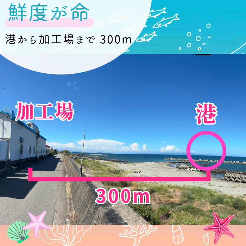 しらす (朝どれしらすを当日発送) 冷蔵  1kg｜ 瀬戸内海 四国 徳島 小松島  ｜朝どれ 水揚げ 釜揚げ 当日発送 ｜ 太平洋 瀬戸内海 結ぶ 紀伊水道 鳴門 海域 ｜ しらす丼 魚介 シーフード 特産品 海産物 新鮮 惣菜  国産 鮮度 ふるさと納税 採れたて 安全 安心 カルシウム 小分け | 新米 白米 玄米 卵ご飯 【北海道･沖縄･東北･離島への配送不可】 