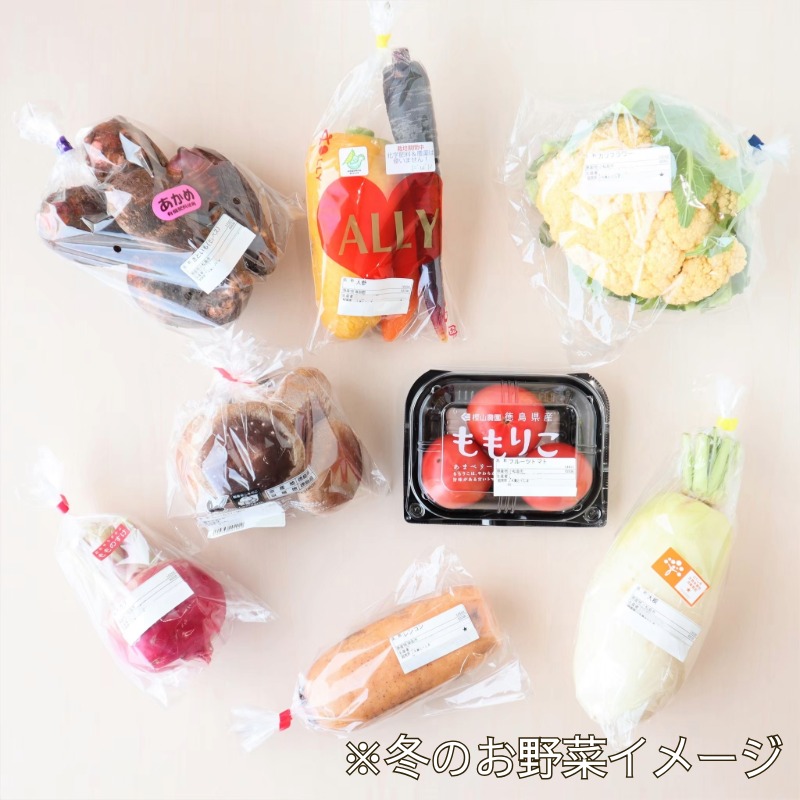 旬のエシカル野菜7種セット 野菜 おまかせ 新鮮 採れたて 産地直送 やさい とうもろこし トマト 減農薬 きのこ オクラ 玉ねぎ 美味しい 小松島市