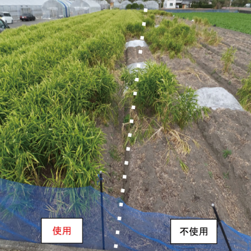 蝣閧・ 30L (15kg) 閧・譁 縺溘>閧・ 縺ソ縺ソ縺 繝溘Α繧コ 縺ソ縺ソ縺壼、ェ驛 100 譛画ゥ 髮題拷 邉 辟。閾ュ 隕ウ闡画、咲黄 繧ャ繝シ繝繝九Φ繧ー 縺願干 闃ア 驥手除 螳カ蠎ュ闖懷恍 逡 蝨 逕ー繧薙⊂ 蠕ョ逕溽黄雉譚 蠕ウ蟲カ逵 蟆乗收蟲カ蟶