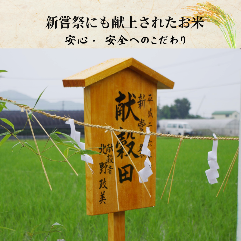 【令和7年産新米】米 コシヒカリ 10kg(5kg×2） 天皇献上米 (栽培期間中）化学肥料・農薬不使用米 白米 精米 こめ  ご飯 備蓄米 ごはん 新米  環境 に優しい 小松島市 上王子特質米 10kg