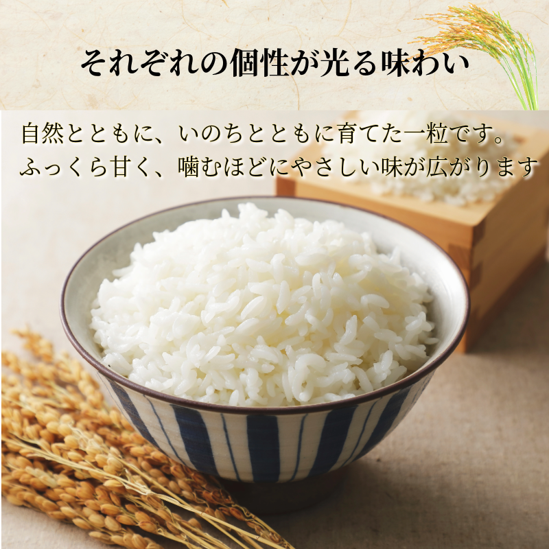 【令和7年産新米】米 コシヒカリ 10kg(5kg×2） 天皇献上米 (栽培期間中）化学肥料・農薬不使用米 白米 精米 こめ  ご飯 備蓄米 ごはん 新米  環境 に優しい 小松島市 上王子特質米 10kg