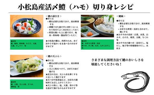 定期便 偶数月 3回 鱧 ハモ 切り身 計 3.6kg 1.2kg × 3ヵ月 冷凍 国産 魚介 天ぷら ※北海道・沖縄・離島への配送不可 ※配達指定不可