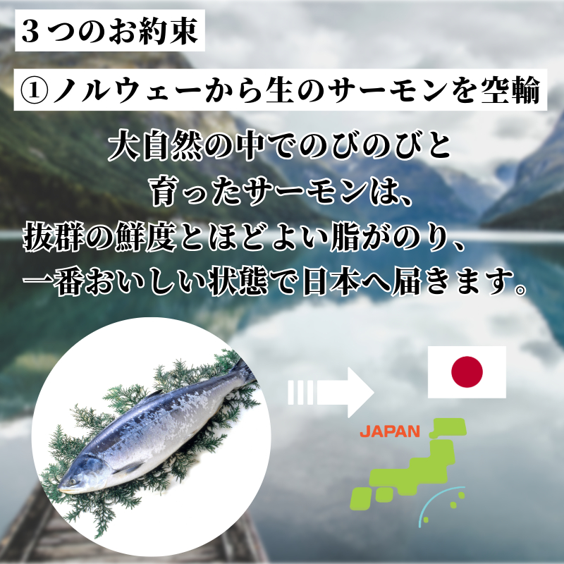 アトランティックサーモン 計1.8kg（切り落とし付き） 冷凍  鮭 刺し身 魚 人気 海鮮 生食用 刺身 お刺身 魚介類 魚介  海鮮丼 寿司 丼  カルパッチョ 海鮮サラダ ムニエル ホイル焼き【北海道･東北･沖縄･離島への配送不可】