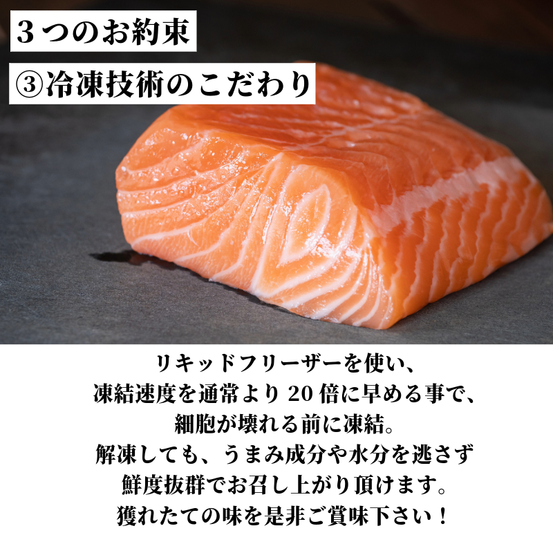 アトランティックサーモン 計1.8kg（切り落とし付き） 冷凍  鮭 刺し身 魚 人気 海鮮 生食用 刺身 お刺身 魚介類 魚介  海鮮丼 寿司 丼  カルパッチョ 海鮮サラダ ムニエル ホイル焼き【北海道･東北･沖縄･離島への配送不可】