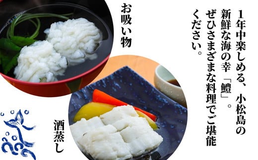鱧 国産 ハモ 切り身 1.2kg 冷凍 骨切り カット済 産地直送 魚介 海産物 魚 切り身 天然鱧 お取り寄せ グルメ 湯引き 蒲焼き 天ぷら しゃぶしゃぶ 鍋 お吸い物 酒蒸し ※北海道･東北･沖縄･離島 配送不可
