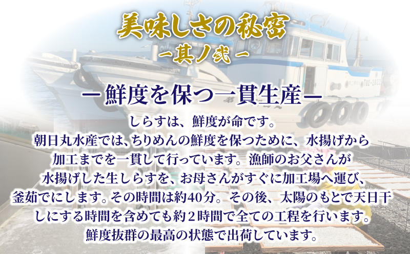 釜揚げ しらす 1kg 国産 徳島県産 和田島産 とれたて 新鮮 産地直送 冷蔵 発送 小分け 250g 4袋 セット 和田島しらす ちりめん 魚介類 魚 小魚