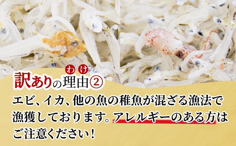 訳あり ちりめん 2kg 国産 しらす ちりめんじゃこ 鰯 いわし 魚 海鮮 魚介類 魚貝 干物 乾物 産地直送 しらすご飯 ごはん おにぎり 米 こめ 不揃い 規格外 家庭用 お取り寄せ グルメ おつまみ 弁当 おかず おやつ 酒の肴 惣菜 パスタ ピザ ちりめん山椒 冷蔵 送料無料 和田島産 徳島県 小松島市 【北海道・東北・沖縄・離島配送不可】