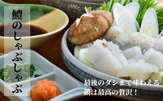 鱧 国産 ハモ 切り身 1.2kg 冷凍 骨切り カット済 産地直送 魚介 海産物 魚 切り身 天然鱧 お取り寄せ グルメ 湯引き 蒲焼き 天ぷら しゃぶしゃぶ 鍋 お吸い物 酒蒸し ※北海道･東北･沖縄･離島 配送不可