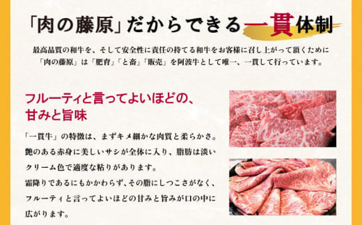 霜降り 焼肉用 500g国産 黒毛和牛 とくしま三ツ星ビーフ 徳島県産 ブランド 和牛 牛肉 ふるさと納税 阿波牛 牛肉 ぎゅうにく 牛 肉 すきやき すき焼き 牛丼 焼肉 ビーフ BBQ アウトドア キャンプ おかず おつまみ 惣菜 弁当 日用 お祝い 【北海道・東北・沖縄・離島への配送不可】