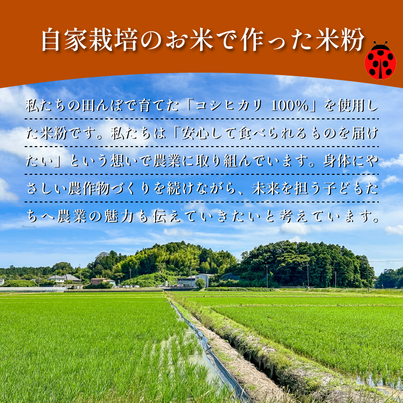 米粉 2kg（500g×4） 国産 溝木さんの米粉 小松島 グルテンフリー 米 パン お菓子 料理 パンケーキ 蒸しパン 健康 コシヒカリ 使用 小分け
