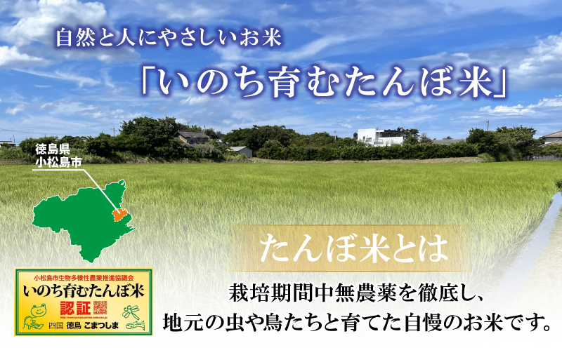 【2024年9月より順次発送】 令和6年産 新米 白米 コシヒカリ 5kg 栽培期間中無農薬 四国 徳島 小松島 米 白米 精米したて ふるさと納税 おいしい kome お米 こめ おこめ こしひかり 白米 精米 国産 限定 ごはん ご飯 白飯 ゴハン ふるさと 安心 安全 人気 コスパ おすすめ 送料無料 国産 TKG 卵かけご飯 おにぎり いのち育む田んぼ米 生物多様性 【北海道・東北・沖縄・離島への発送不可】