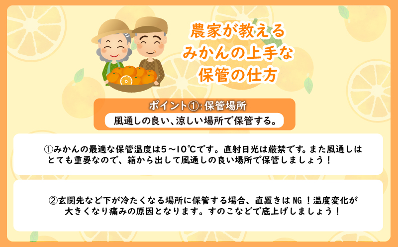 熟成 みかん 10kg 秀品 M~L 【先行予約】2025年2月発送  国産 徳島県 勝浦産 貯蔵 果物 フルーツ 柑橘 みかん 蜜柑 温州 人気 産地直送 数量限定 【北海道・東北・沖縄・離島配送不可】