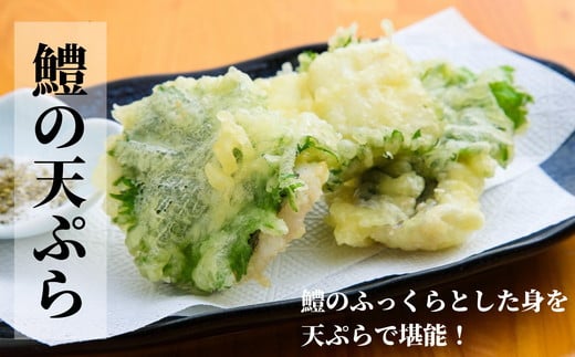 鱧 国産 ハモ 切り身 1.2kg 冷凍 骨切り カット済 産地直送 魚介 海産物 魚 切り身 天然鱧 お取り寄せ グルメ 湯引き 蒲焼き 天ぷら しゃぶしゃぶ 鍋 お吸い物 酒蒸し ※北海道･東北･沖縄･離島 配送不可