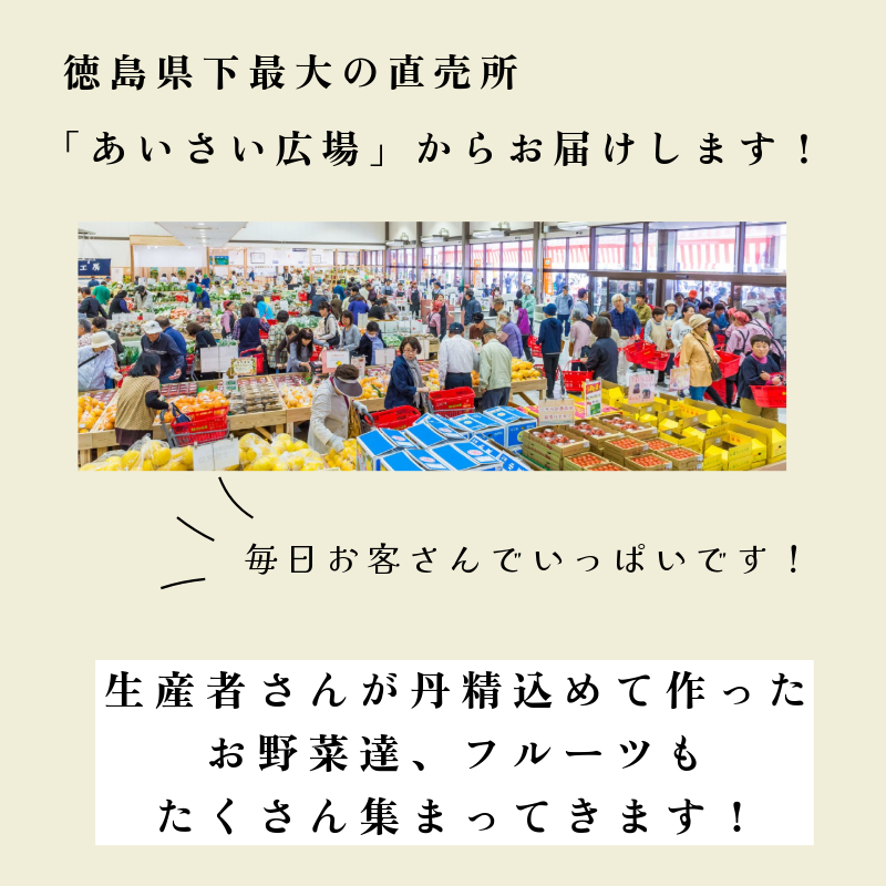 訳あり 季節のお野菜5品とみかんセット 季節 旬 野菜 詰め合せ 国産 みかん 季節 旬 おまかせ 産地直送 春野菜 夏野菜 秋野菜 きのこ 葉物 果物 果菜 根菜 冷蔵 野菜室 ダイエット 食 栄養食 加工品 カット野菜 小松島産 季節限定