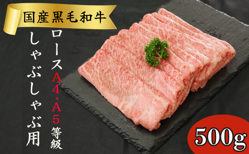 国産 黒毛和牛 阿波牛 ロース しゃぶしゃぶ 肉 500g 牛肉 赤身 ロース リブロース 肩ロース 赤身 A4 A5 等級 しゃぶしゃぶ すき焼き 鍋 料理