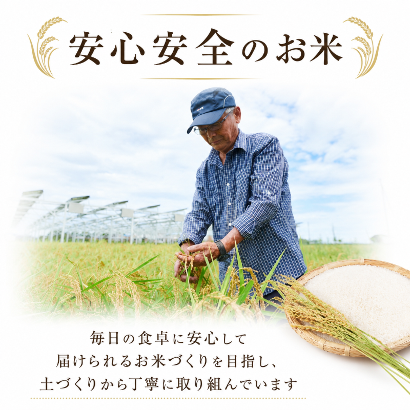 令和7年産 コシヒカリ 10kg 白米 米 数量 限定 こしひかり 10キロ 米10kg ごはん こめ コメ はくまい okome kome おむすび おにぎり 国産 飯 おこめ 小松島市