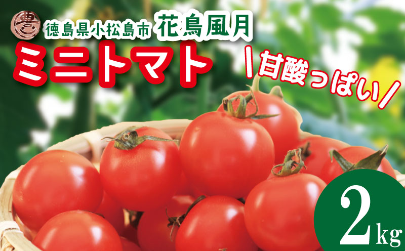【2026年4月発送】 ミニトマト 2kg 花鳥風月 先行予約 水耕栽培 爽やか 甘い 野菜 やさい 国産 産地直送 数量限定 旬 フレッシュトマト 生野菜 新鮮 ソース 調味料 ケチャップ サラダ 美容 新鮮 健康 お取り寄せ グルメ おすすめ 人気 1万円以下 10000円以下 徳島県 小松島市