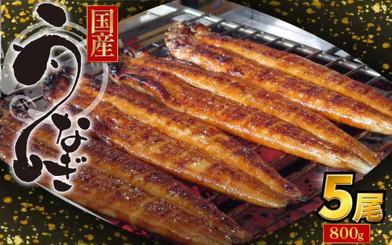 国産 うなぎ 蒲焼 5尾（約800g）冷蔵 特上うなぎ 頭付き かば焼き うなぎ蒲焼き 鰻 土用の丑の日 丑の日 夏 スタミナ たれ 秘伝 うな重 ひつまぶし 人気 地元で人気 おすすめ タレ 焼き