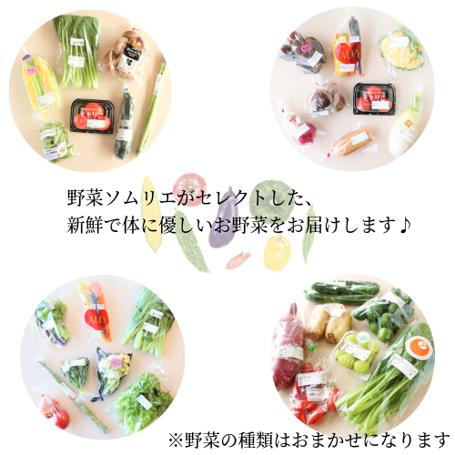 旬のエシカル野菜5種セット 野菜 おまかせ 新鮮 採れたて 産地直送 やさい とうもろこし トマト 減農薬 きのこ オクラ 玉ねぎ 美味しい 小松島市