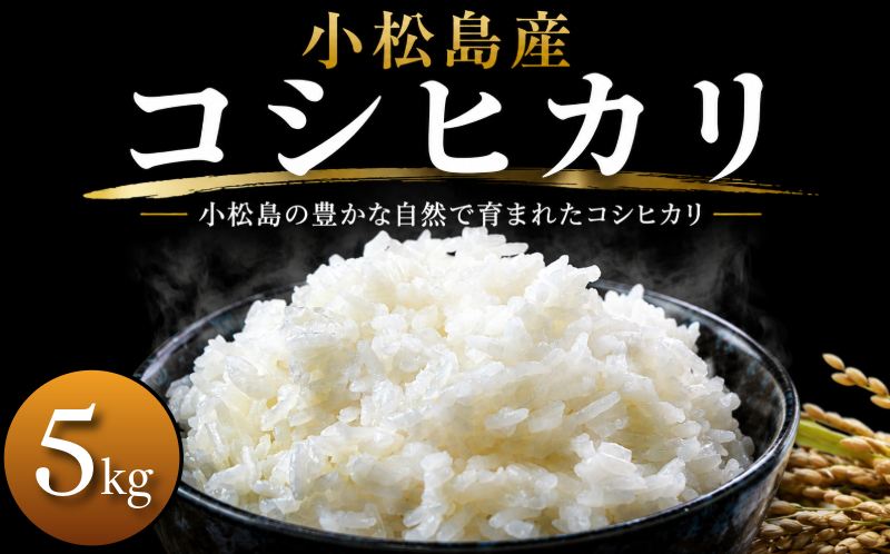 令和7年産 コシヒカリ 5kg 白米 米 数量 限定 こしひかり 5キロ 米5kg ごはん こめ コメ はくまい okome kome おむすび おにぎり 国産 飯 おこめ 小松島市