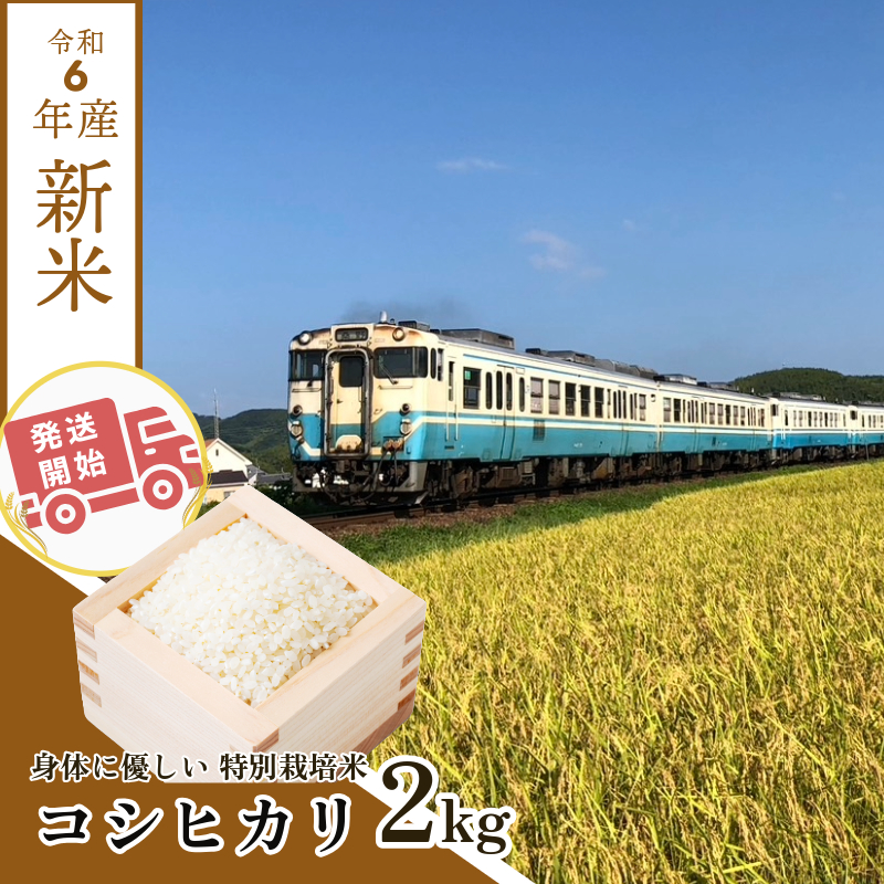 【2週間発送】令和6年産 新米 白米 コシヒカリ 2kg | 特別栽培米 健康 安心 安全 | 新米限定発送 お試し 少量 小分け | 四国 徳島 小松島 | 米 おいしい kome お米 こめ おこめ こしひかり 精米 国産 ごはん ご飯 白飯 ゴハン 人気 コスパ おすすめ TKG 卵かけご飯 おにぎり おむすび | 少ない 農薬 化学肥料 | 発送開始