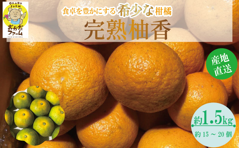 完熟柚香 ゆこう 1.5kg 柑橘 柚柑 ゆず すだち みかん 柚子 ユズ ダイダイ 酢 お酢 寿司酢 果実酢 果汁 お酒 酒 ビール ピール 付け合せ 人気 健康 美容 yukou