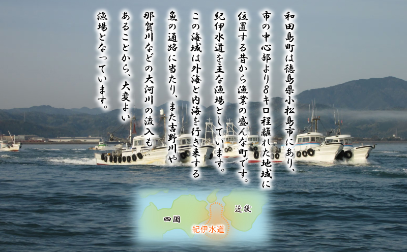 訳あり ちりめん 計 600g 200g × 3袋 和田島産 しらす 産地直送 小分け パック 冷蔵 徳島県 じゃこ 干し 乾物 ご飯のお供