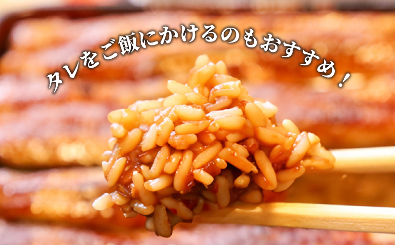 うなぎ 蒲焼き ( 特大 2尾 計500g 250g×2尾 ) ご飯にかける専用タレ付き！ 冷凍 | タレ 付き 夏 スタミナ | うなぎ うなぎ うなぎ うなぎ うなぎ うなぎ 鰻 鰻 鰻 鰻 鰻 