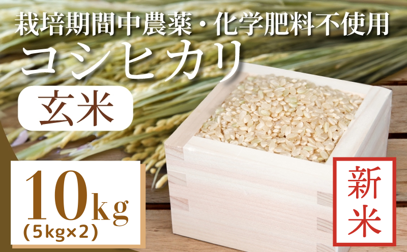 【2024年9月より順次発送】令和6年産 新米 玄米 コシヒカリ 10kg ( 5kg ×2) 栽培期間中無農薬 ふるさと納税 四国 徳島 小松島 新生活 おいしい お米 米 こめ おこめ 国産 ごはん ご飯 ゴハン ふるさと ランキング 人気 安全 安心 ビタミン ミネラル 栄養 おすすめ おいしい 送料無料 国産 TKG 卵かけご飯 おにぎり いのち育む田んぼ米 生物多様性